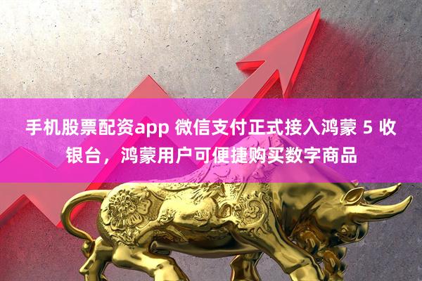 手机股票配资app 微信支付正式接入鸿蒙 5 收银台，鸿蒙用户可便捷购买数字商品