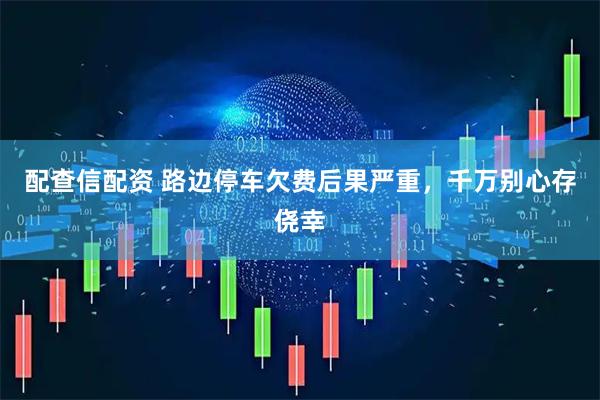 配查信配资 路边停车欠费后果严重，千万别心存侥幸